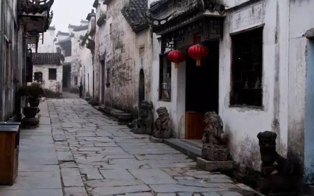 解决问题,尽在赛尔维斯支线
